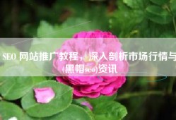 SEO 网站推广教程，深入剖析市场行情与(黑帽seo)资讯