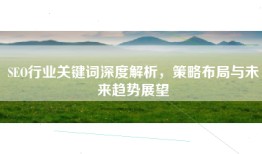 SEO行业关键词深度解析，策略布局与未来趋势展望