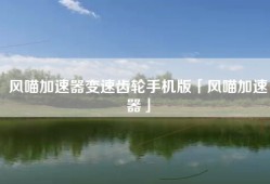 风喵加速器变速齿轮手机版「风喵加速器」