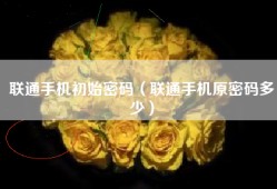 联通手机初始密码（联通手机原密码多少）