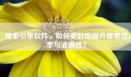 搜索引擎软件，如何更好地提升搜索效率与准确性？