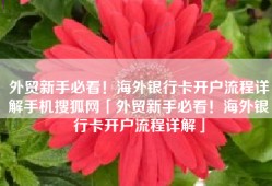 外贸新手必看！海外银行卡开户流程详解手机搜狐网「外贸新手必看！海外银行卡开户流程详解」
