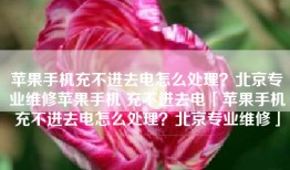 苹果手机充不进去电怎么处理？北京专业维修苹果手机 充不进去电「苹果手机充不进去电怎么处理？北京专业维修」
