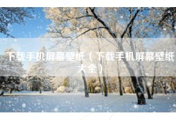 下载手机屏幕壁纸（下载手机屏幕壁纸大全）