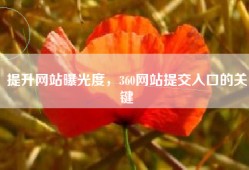 提升网站曝光度，360网站提交入口的关键