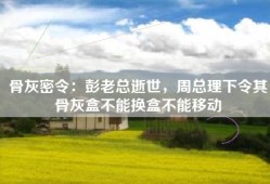 骨灰密令：彭老总逝世，周总理下令其骨灰盒不能换盒不能移动