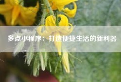 多点小程序：打造便捷生活的新利器