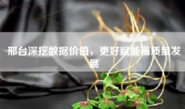 邢台深挖数据价值，更好赋能高质量发展