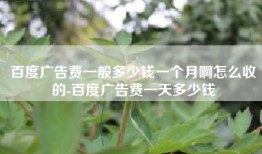 百度广告费一般多少钱一个月啊怎么收的-百度广告费一天多少钱