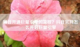 抖音开通巨量引擎的流程？抖音官网怎么开启巨量引擎