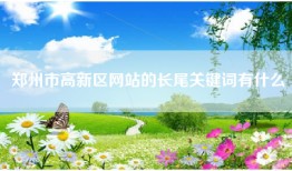 郑州市高新区网站的长尾关键词有什么