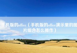 手机版的office（手机版的office演示里的图片组合怎么操作）