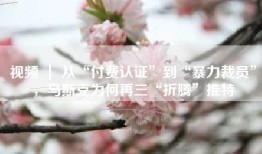 视频 ｜ 从“付费认证”到“暴力裁员”，马斯克为何再三“折腾”推特
