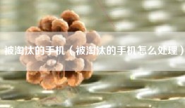 被淘汰的手机（被淘汰的手机怎么处理）