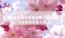 苹果手机定位在哪里设置（苹果手机定位在哪里设置关闭）