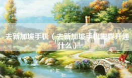 去新加坡手机（去新加坡手机需要开通什么）