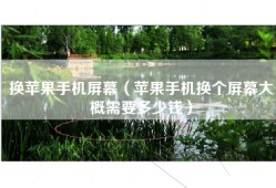 换苹果手机屏幕（苹果手机换个屏幕大概需要多少钱）