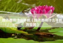国外都用什么手机（国外都用什么手机浏览器）