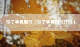 锤子手机如何（锤子手机如何开机）