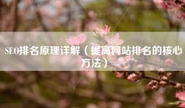 SEO排名原理详解（提高网站排名的核心方法）
