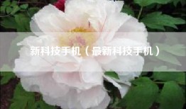 新科技手机（最新科技手机）