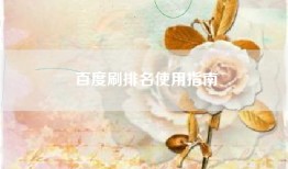 百度刷排名使用指南