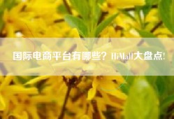 国际电商平台有哪些？HiMall大盘点!