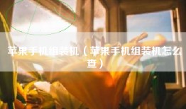 苹果手机组装机（苹果手机组装机怎么查）