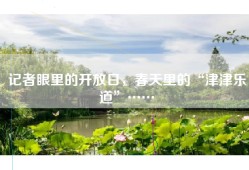 记者眼里的开放日，春天里的“津津乐道”……