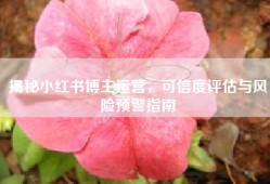 揭秘小红书博主运营，可信度评估与风险预警指南