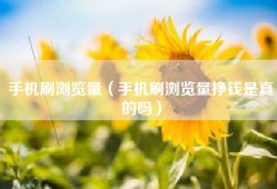 手机刷浏览量（手机刷浏览量挣钱是真的吗）