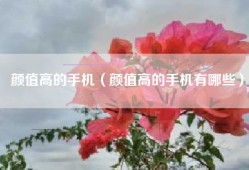颜值高的手机（颜值高的手机有哪些）