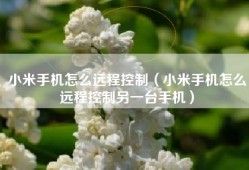 小米手机怎么远程控制（小米手机怎么远程控制另一台手机）
