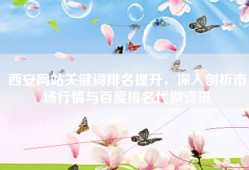 西安网站关键词排名提升，深入剖析市场行情与百度排名代做资讯