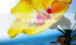 礼品派发活动方案