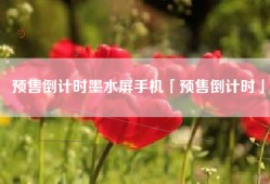 预售倒计时墨水屏手机「预售倒计时」
