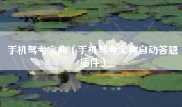 手机驾考宝典（手机驾考宝典自动答题插件）