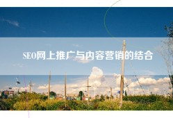 SEO网上推广与内容营销的结合