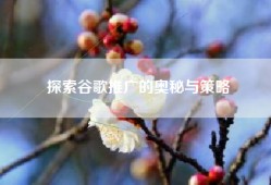 探索谷歌推广的奥秘与策略