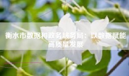衡水市数据和政务服务局：以数据赋能高质量发展