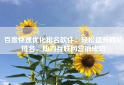 百度快速优化排名软件：轻松提升网站排名，助力互联网营销成功