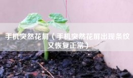 手机突然花屏（手机突然花屏出现条纹又恢复正常）