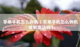 苹果手机怎么拆机（苹果手机怎么拆机破解激活码）