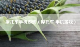 摩托车手机游戏（摩托车 手机游戏）