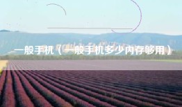 一般手机（一般手机多少内存够用）