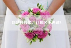 网站秒收录，让排名不再难！