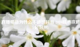 直播带货为什么不通过抖音 2024技术攻略!(超好用)