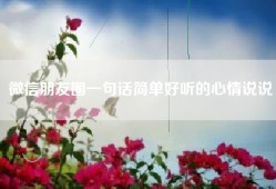 微信朋友圈一句话简单好听的心情说说