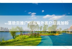 ws落地页推广引流海外客户引流加粉