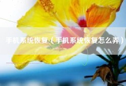 手机系统恢复（手机系统恢复怎么弄）